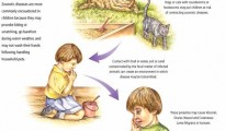 zoonoticdiseasetransmission