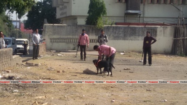 Bomb Disposal Dog Training Bomb Disposal Dog Training