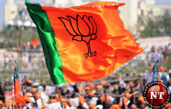 bjp-flag