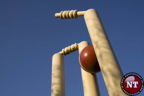 Cricket