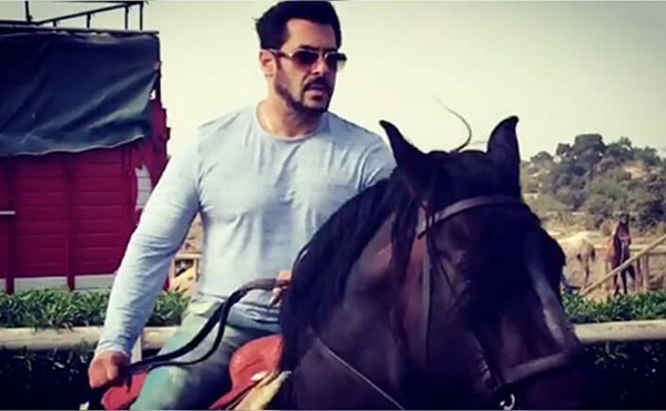 Salman Khan takes horse riding lessons for 'Tiger Zinda Hai' - Nagpur