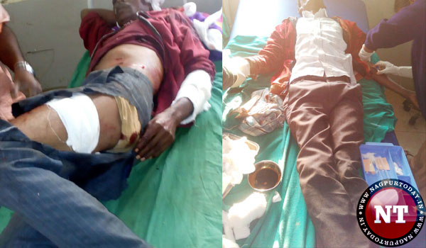 भालू के हमले में तीन गंभीर जख्मी एक की मौत