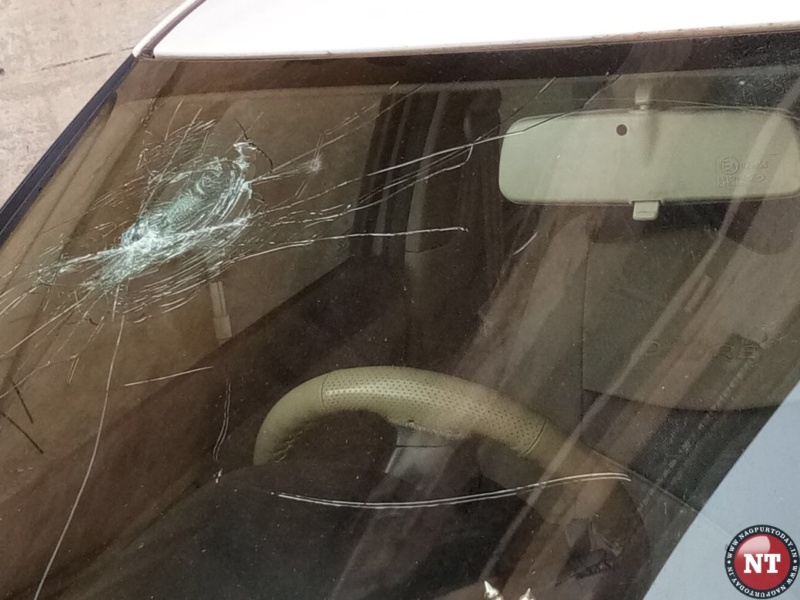 Video: Frenzied mob vandalises Nana Shyamkule’s Office: Bhima-Koregaon incident