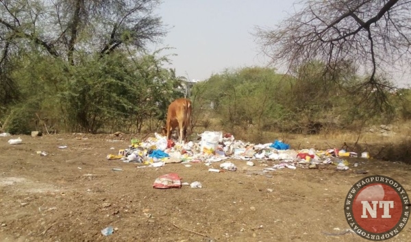 Garbage in Nagpur