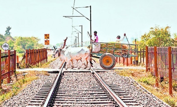 Railway Gate