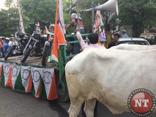 NCP demonstrates against petrol price