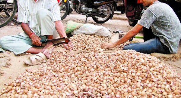 betel businessmen