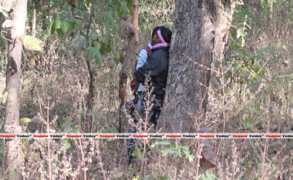 Needed - a lovers' park? - Nagpur Today : Nagpur News