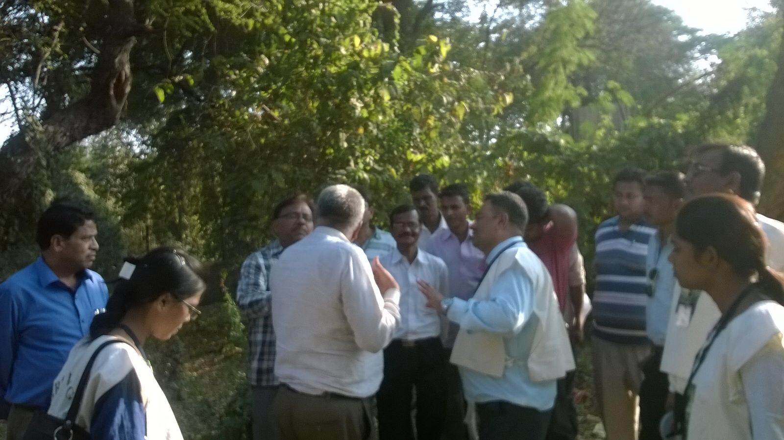 Breather for 8 trees as Green Vigil rushes to rescue at Maharajbagh zoo