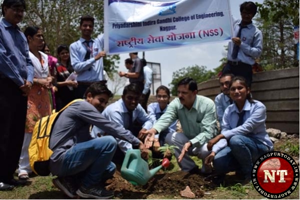 \u0026quot;Tree Plantation Program\u0026quot; celebrates in Priyadarshini Indira Gandhi College of Engineering ...
