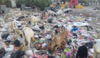 Garbage in Nagpur