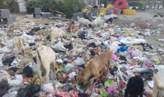 NMC’s Mangalwari Zone mocks at Swachh Bharat Abhiyan!