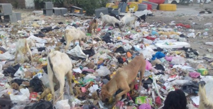 Garbage in Nagpur