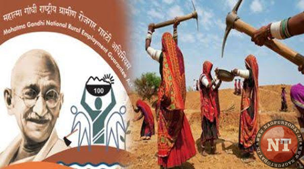Large-scale irregularities in MGNREGA alleged in Katol Panchayat Samiti Nagpur Today : Nagpur News