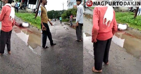 Video: Brutal assault on goon in Trimurti Nagar, one arrested Nagpur Today : Nagpur News