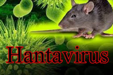 Man dies from hantavirus in China, here's what you need to know