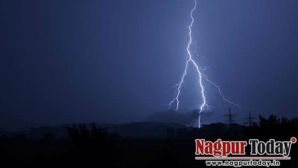 Lightning Kills Boy, Injures 3 After They Climb Tree for Mobile Network Lightning Kills Boy, Injures 3 After They Climb Tree for Mobile Network