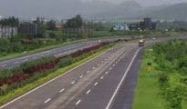 13 types of fruit trees that attract wild animals not to be planted along Mumbai-Nagpur E-way