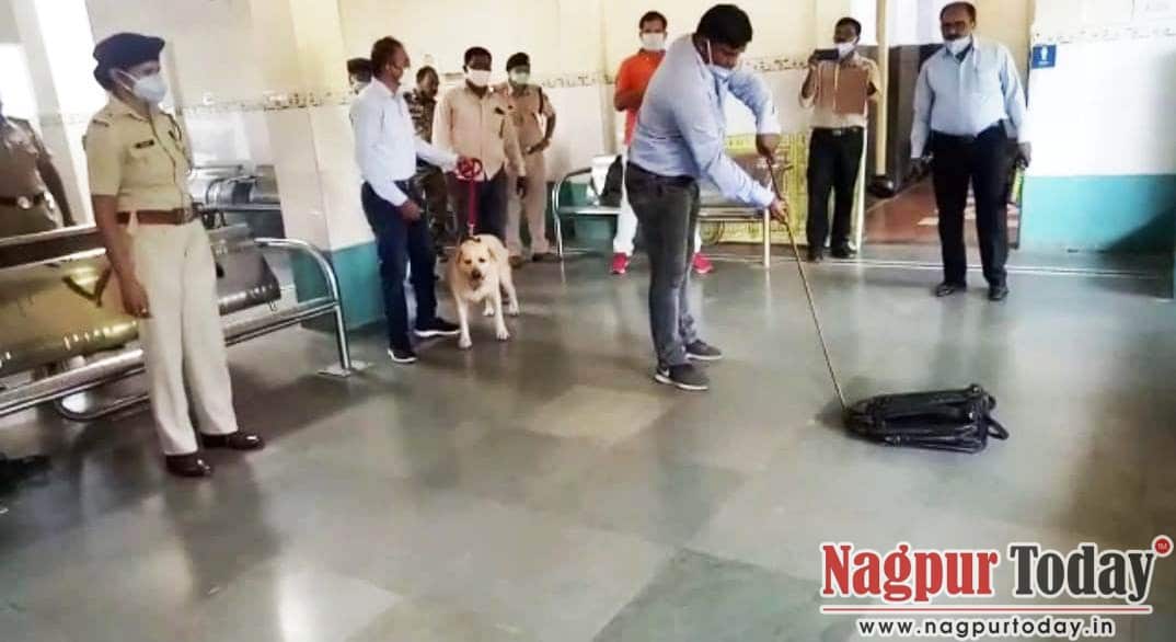 Video गोंदिया: रेलवे स्टेशन में मिले 2 लावारिस बैग , पुलिस में मची भगदड़ - Vimarsana News