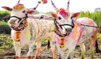 यंदा पोळा भरणार नाही; नागपूर जिल्हाधिकाऱ्यांनी काढले आदेश