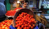 Tomato turns costly on tight supply