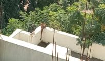 Video: Leopard strays into Acharya Vinoba Bhave Rural Hospital in Wardha
