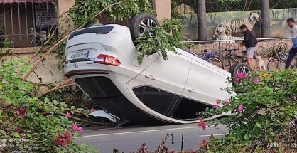 Rashly driven car overtures near Japanese Garden