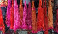 NMC issues guidelines for Chhat Puja celebration in Nagpur