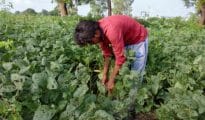 Maha will waive loans of 31.81 farmers: Dy CM
