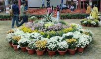 18th edition of annual flower show commence at Hislop College