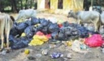 GMCH turning out to be breeding ground for diseases!