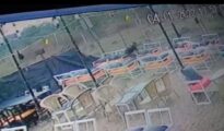 Video: Samadhan Dhaba owner kills three innocent puppies,FIR lodged by La Karma Restaurant owner