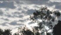 City records 3.5 degrees rise in minimum temp in just 24 hours
