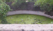 Nagpur hosts 52 historical wells, NMC plans restoration to bring back glory