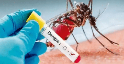 HC orders NMC to combat dengue, malaria outbreak in Nagpur