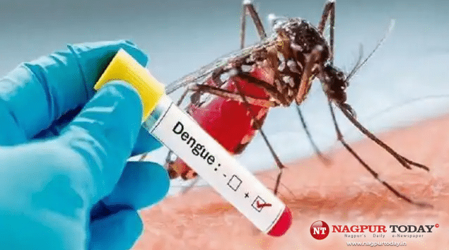 Nagpur Dengue News: Rising Cases Spark Health Department Concerns - Vimarsana News
