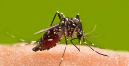 Alarming rise in dengue cases in Nagpur; 1,158 suspected cases, 151 found positive
