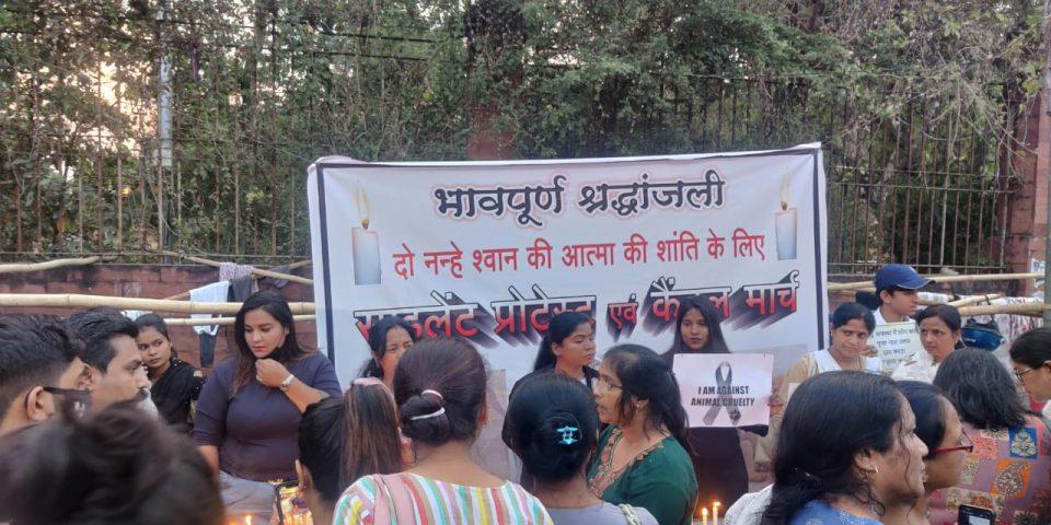 Puppies burned in Nagpur: Silent protest march held at Samvidhan Square