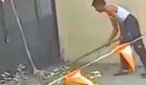 Cruel act: Retired Tehsildar beats two puppies, burns them alive in Nagpur