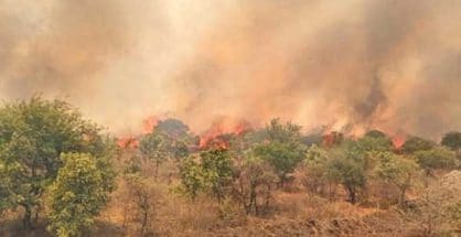 Fire destroys 100-150 Ha of Gorewada forest