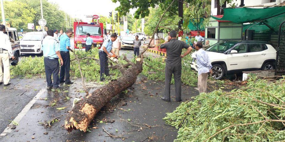 In Pics: Untimely rains wreck havoc in Nagpur, uproot trees, damage crops