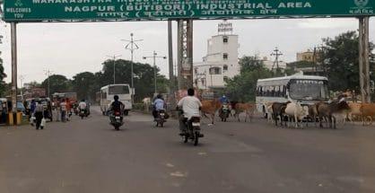 Did You Know? 511 MIDC Units in Nagpur Have Shut Down; HC Takes Suo Motu Cognizance