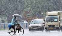 नागपूर विभागात सरासरी १४.२ मि.मी. पाऊस