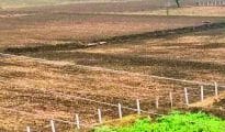 प्रदेश में चार करोड़ भूस्वामियों की होगी ‘प्रोफाइलिंग’