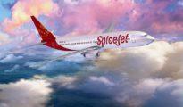 DGCA orders SpiceJet to cut flights by 50%