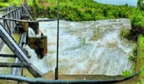 Incessant rains force release of water from 18 dams in Nagpur district