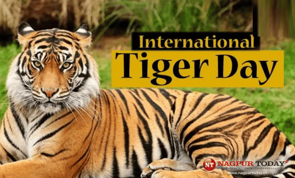 Oneindia News - On the #InternationalTigerDay, interesting