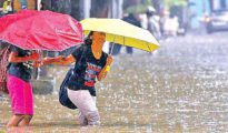 Havoc as rains batter Nagpur district for last 15 days
