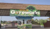 FDCM pays Rs 3 crore to Essel World, cancels agreement to develop Gorewada Zoo