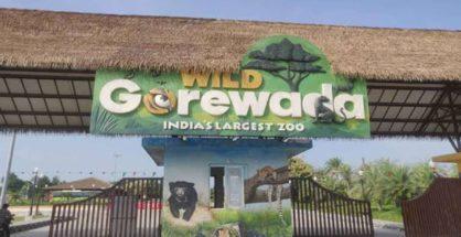 Now, Gorewada Zoo Safari to be a costly affair from Nov 15